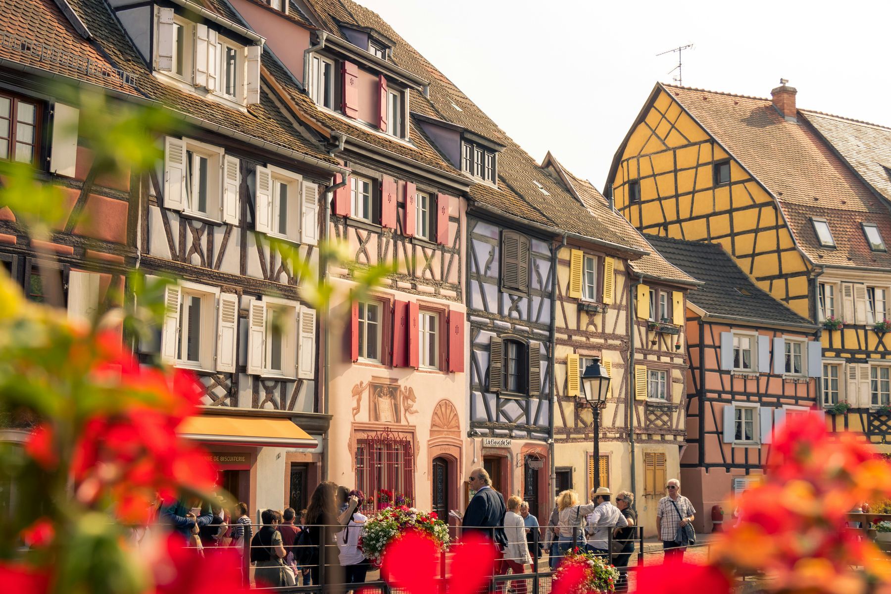 Half-timbered houses in Colmar, France
