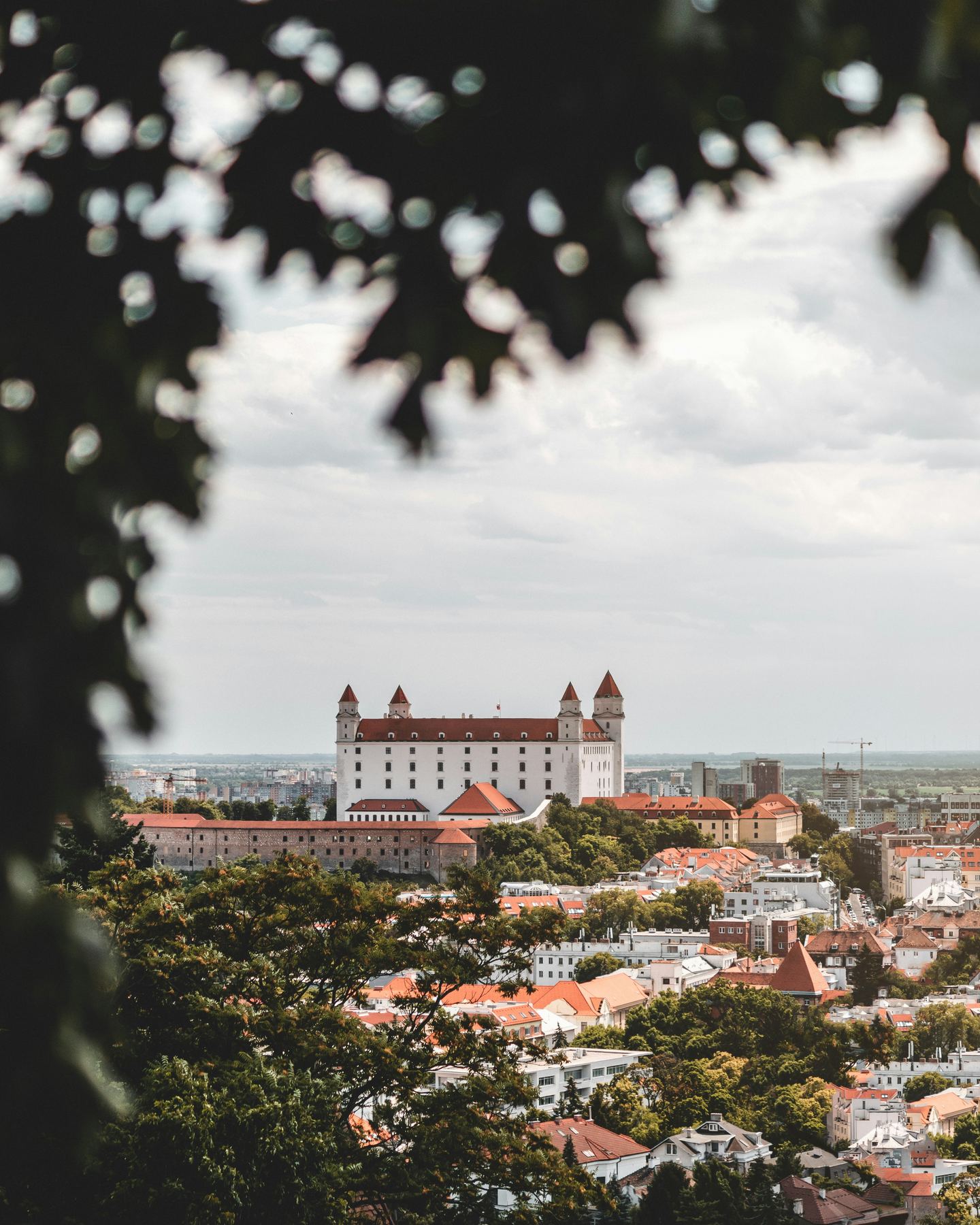 Bratislava Castle framed by trees